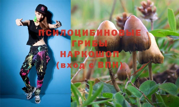 соль ск Ладушкин