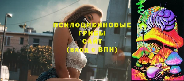 соль ск Ладушкин