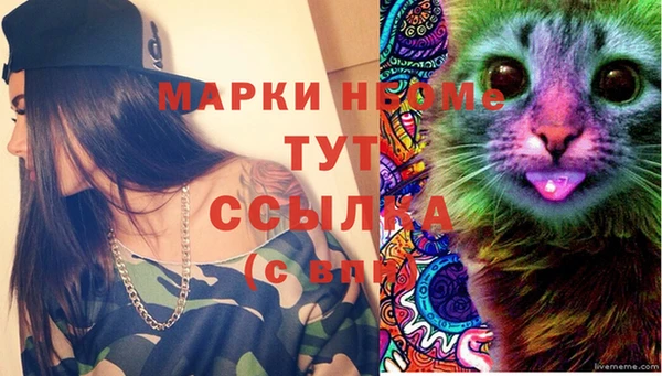 соль ск Ладушкин