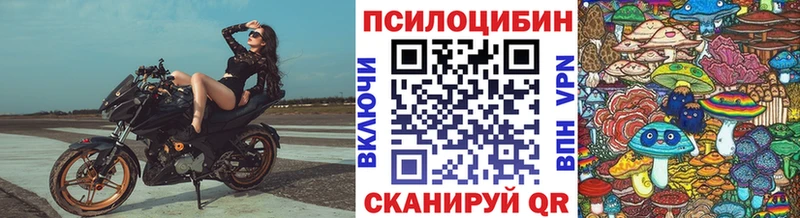 Псилоцибиновые грибы Psilocybe OMG маркетплейс Мамадыш